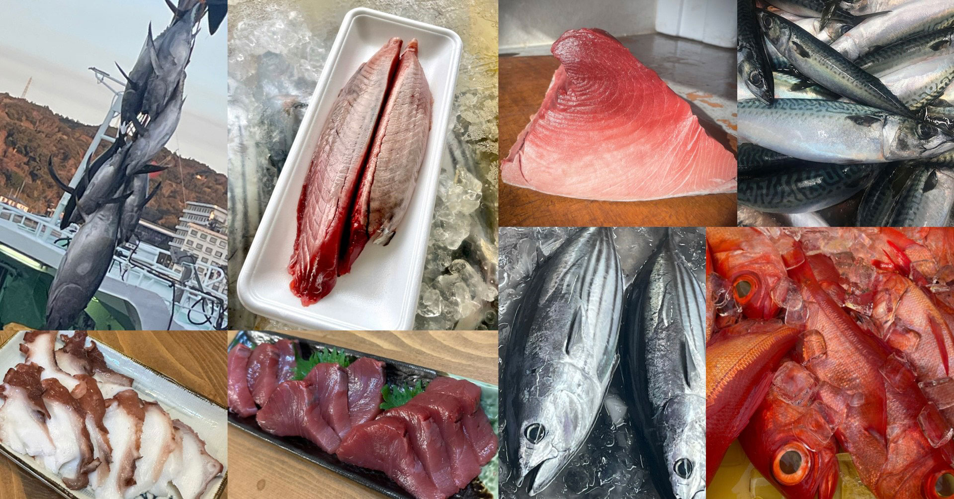 漁港直送の旬の新鮮な鮮魚販売